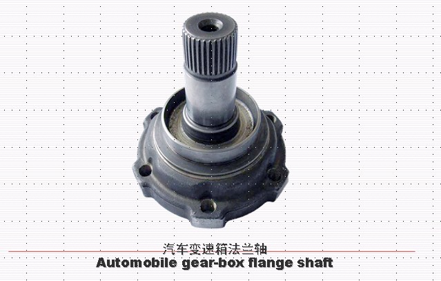 mSflange shaft